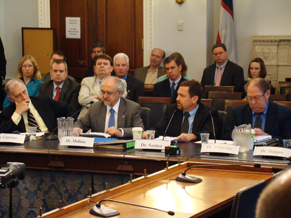 The witnesses at the hearing