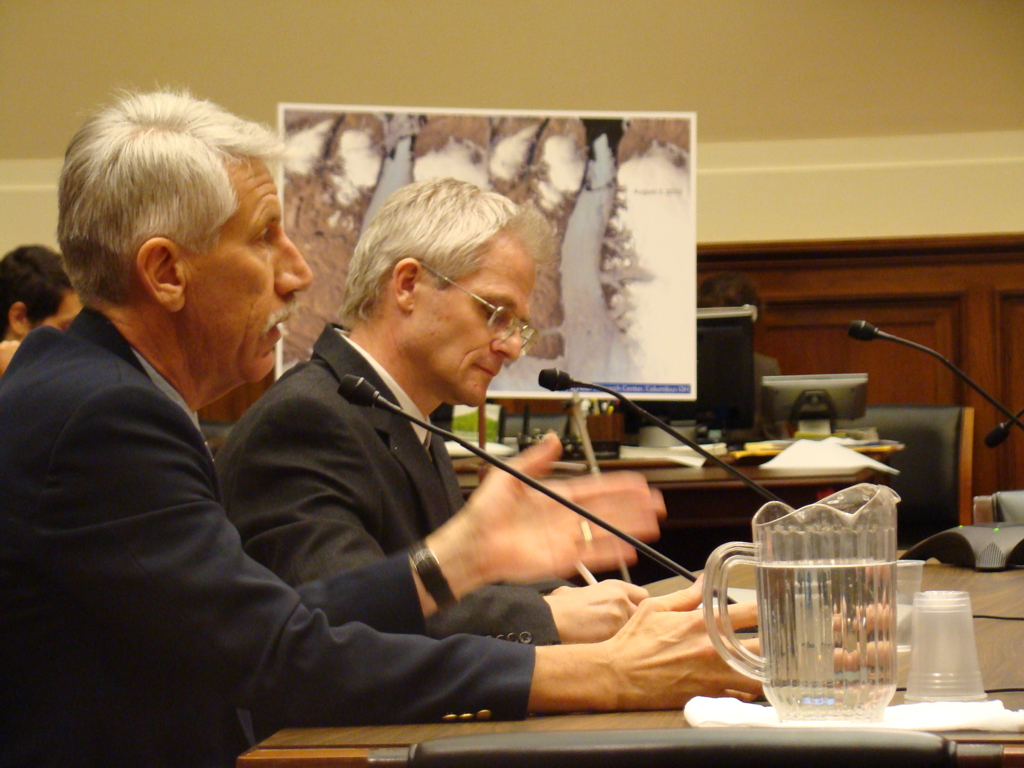 The witnesses testify The witnesses testify