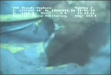Still image from underwater video