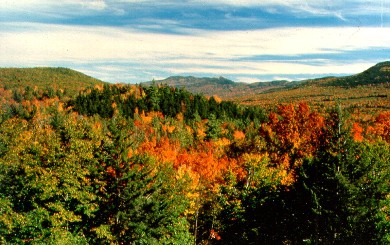 Global Warming Impact Zones U S New England