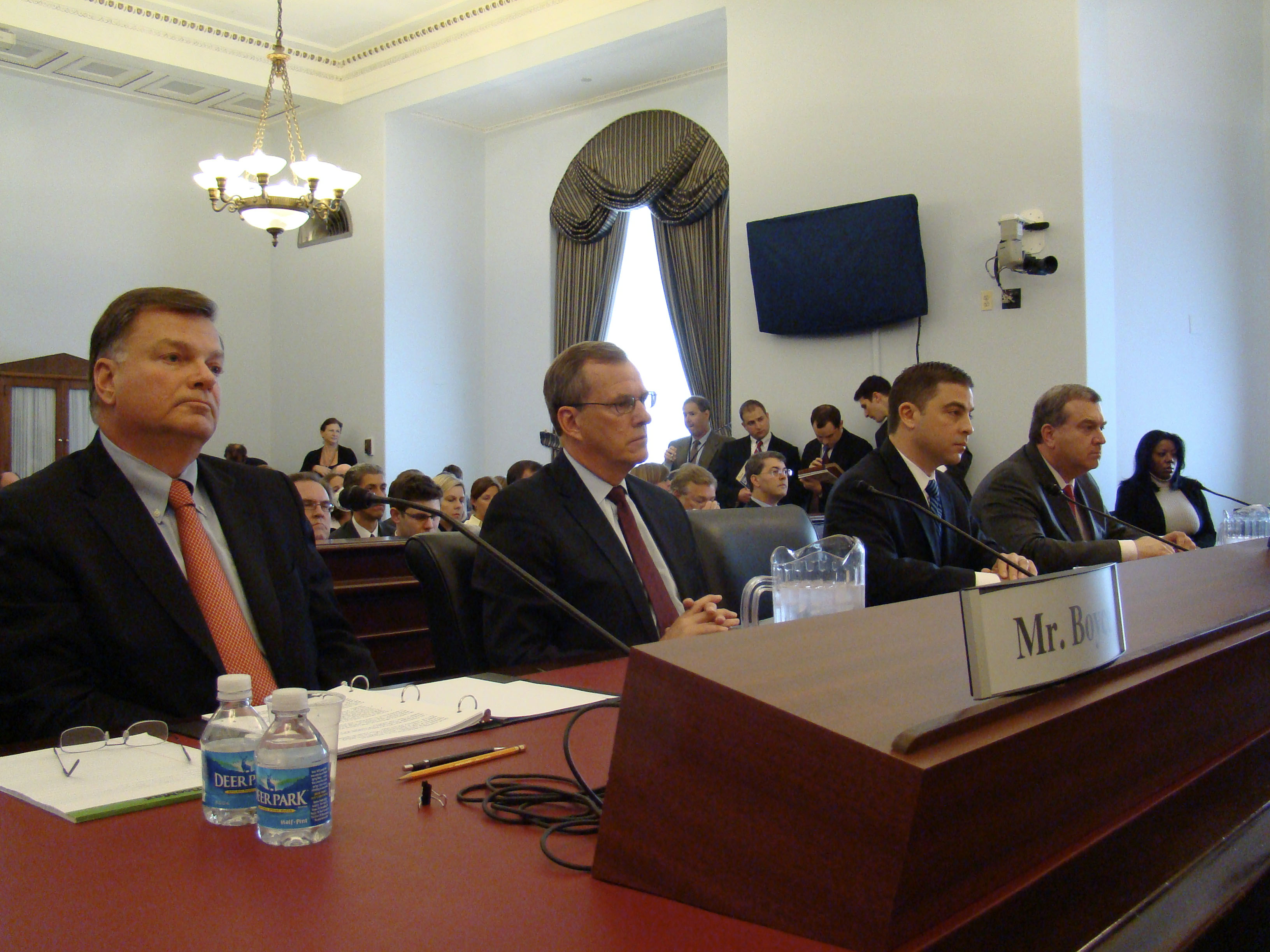 The witness panel