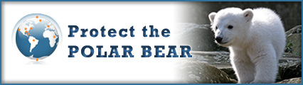 Logo_polar bear